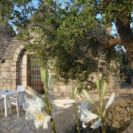 Couette-café Green Light Alberobello